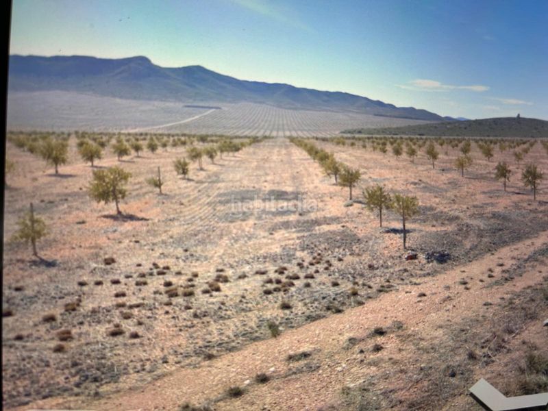 Foto 3bd13aed-817e-46b1-a0c9-1af645364fd9. Finca rústica a avenida de la constitución 1 a San Miguel Murcia