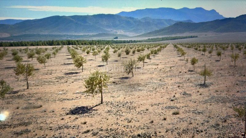 Foto ef74979f-c260-4353-8246-3fd47c06ccc9. Finca rústica a avenida de la constitución 1 a San Miguel Murcia