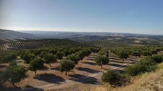 Finca rústica a Baza