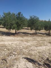 Fondo rustico in CV-915 70