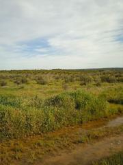 Rural plot in C-30 5