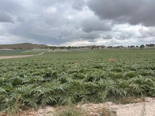Finca rústica a Mucientes