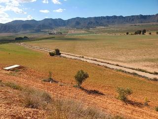 Finca rústica a N/a