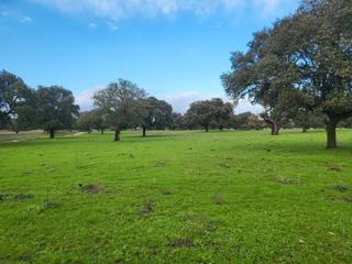 Finca rústica a Avenida Elvas