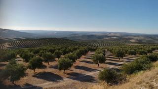 Propriété à Alfalfa - Santa Cruz