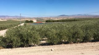 Rural plot in N/a