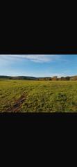 Rural plot in Bonillo (El)
