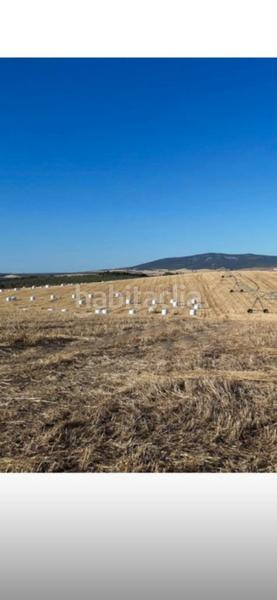 Foto f13ee168-9385-4ade-8ae8-c1127c75ed13. Finca rústica en Bonillo (El)