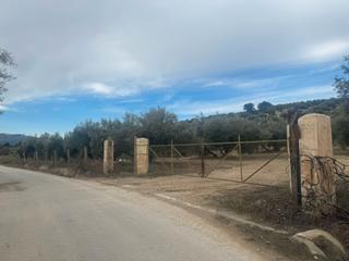 Propriété à Calle a jayena tr 30b