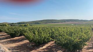 Finca rústica en Partida benessiu 32