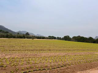 Rural plot in N/a