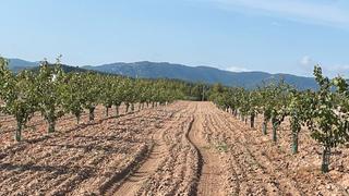 Finca rústica a Calle de la rambla 11