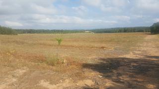 Rural plot in Moixent