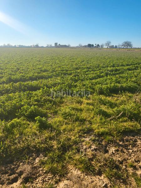 Foto 05d5206c-89fe-4e1b-bb42-d3b375d55935. Landgut in cm-412 341 in Almansa