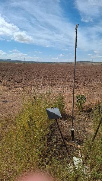 Foto 40686a5b-b1c9-4fc7-9c22-62830c71b32c. Landgut in cm-412 341 in Almansa