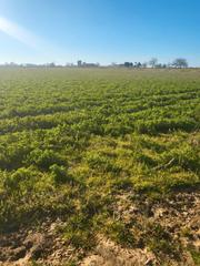 Rural plot in Cm-412 341