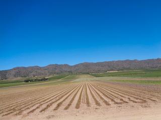 Finca rústica a Desconocido 2