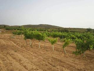 Finca rústica a N/a