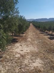 Rural plot in Calle goya 26