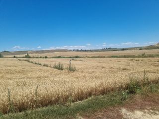 Fondo rustico in Buitrago del Lozoya