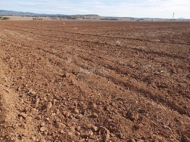 Foto 89f0e9aa-bc0e-4644-88c5-27b51868f856. Finca rústica a Buitrago del Lozoya