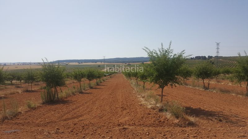 Foto 0416c2b5-8e19-473c-aeaa-9b8bd58a4ec0. Finca rústica a Chinchilla de Monte - Aragón