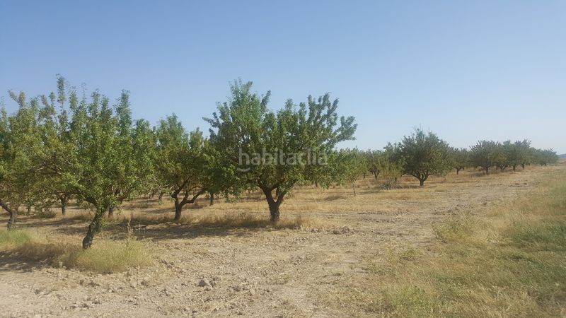 Foto 0cf2119f-8fb1-4a64-8f0e-fdaad1693075. Finca rústica a Chinchilla de Monte - Aragón