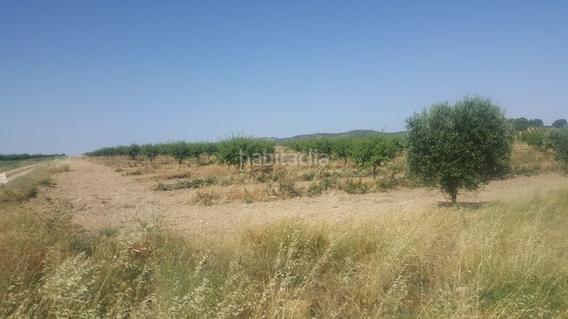 Foto 0daef4dc-a865-4600-9f87-9a0f1016b5e7. Finca rústica a Chinchilla de Monte - Aragón