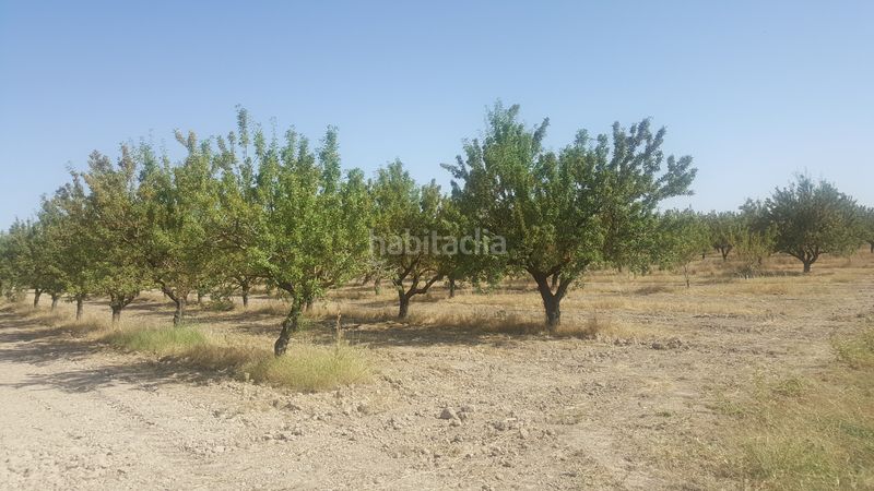 Foto 11870b3a-cb99-4386-a0c5-20f94ed551ba. Finca rústica a Chinchilla de Monte - Aragón