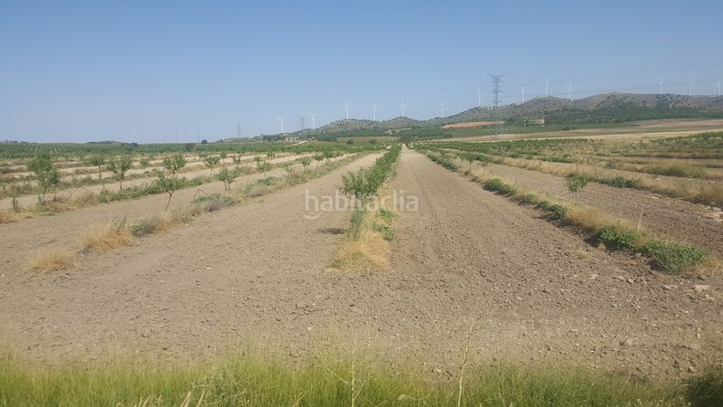 Foto 255bbda5-490b-4771-a753-36efe075a832. Finca rústica a Chinchilla de Monte - Aragón