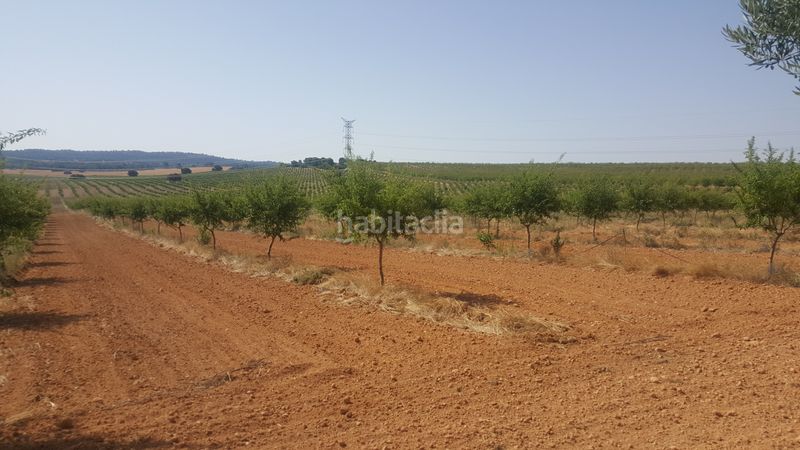 Foto 2cc03fc9-2f79-49ae-a8f4-8b2d439f880f. Finca rústica a Chinchilla de Monte - Aragón