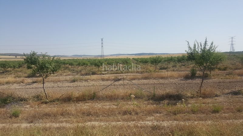 Foto 42b12baf-4d5f-4733-b98a-9b7a9872d778. Finca rústica a Chinchilla de Monte - Aragón