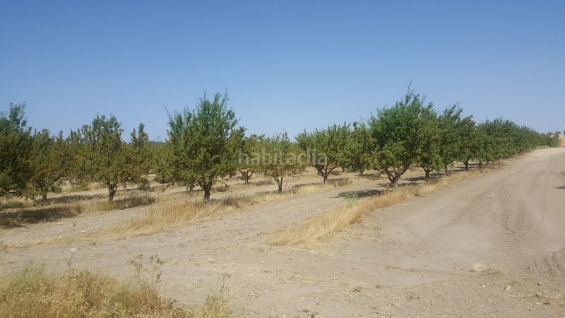 Foto 4a1f3dca-e4ec-4844-a116-8930282f0737. Finca rústica a Chinchilla de Monte - Aragón