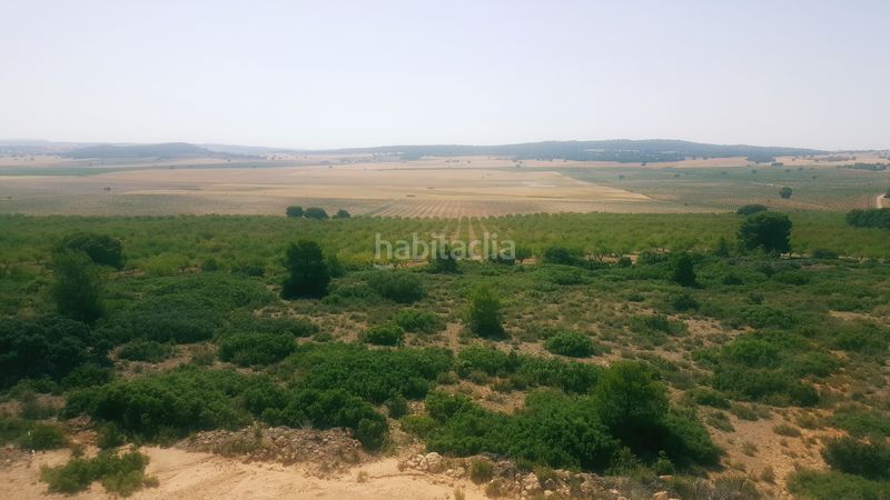 Foto 4fcf6611-ef31-426e-90d6-b1edef0ec5d5. Finca rústica a Chinchilla de Monte - Aragón