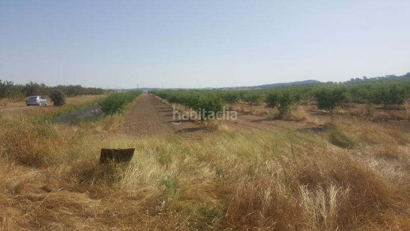 Foto 5766a6d2-38fd-4802-9150-bf6dc032f610. Finca rústica a Chinchilla de Monte - Aragón