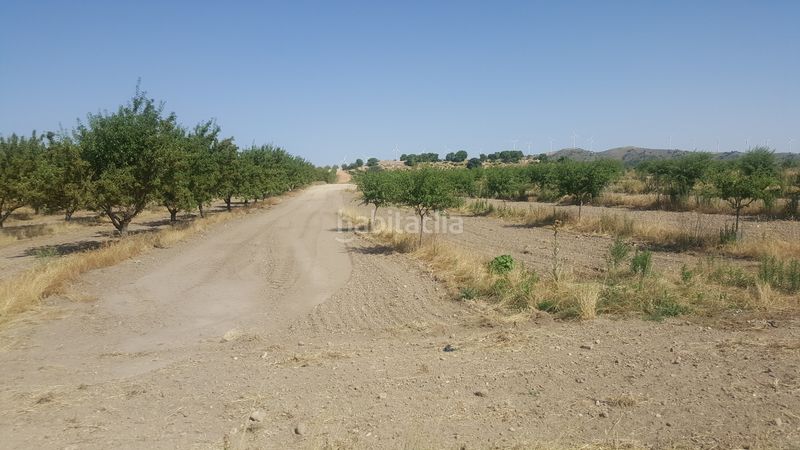 Foto 76943854-70bf-4958-b596-47830adc2e7e. Finca rústica a Chinchilla de Monte - Aragón