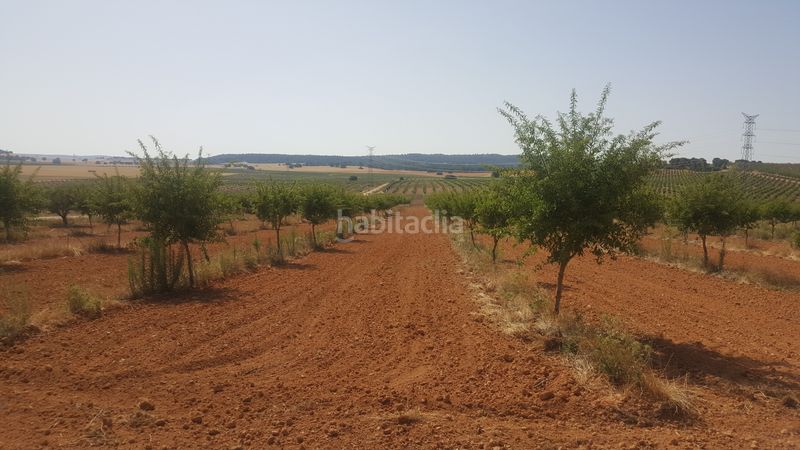 Foto 7c0f6d68-78e0-40c2-8678-0ca245215e79. Finca rústica a Chinchilla de Monte - Aragón