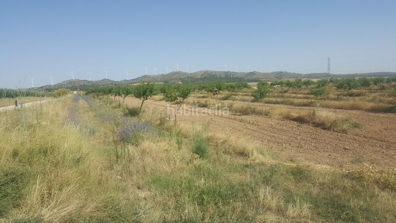 Foto 81a73475-2dba-414a-a337-c7fced5ca40e. Finca rústica a Chinchilla de Monte - Aragón