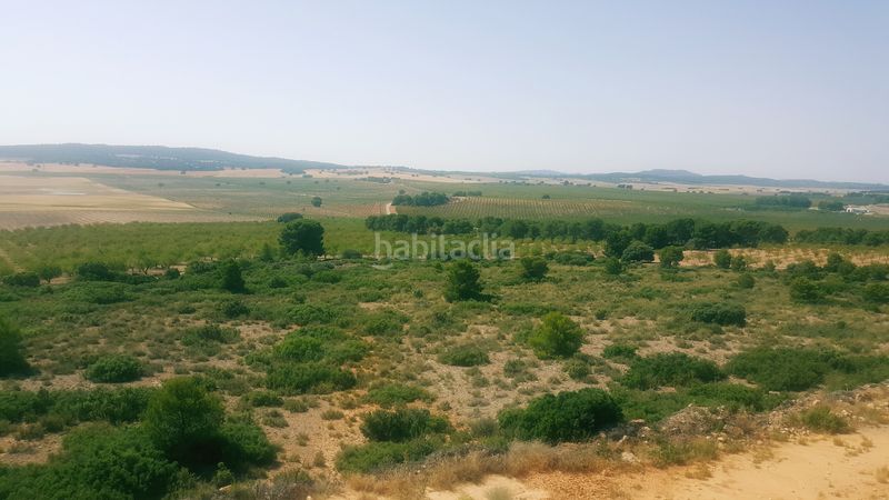 Foto 93a8163a-a164-4ad5-a125-732b1b2d1541. Finca rústica a Chinchilla de Monte - Aragón