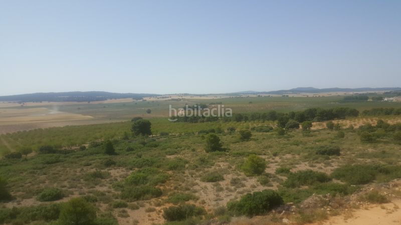 Foto a902f905-d239-4671-8ee2-51b4a6b81ebf. Finca rústica a Chinchilla de Monte - Aragón