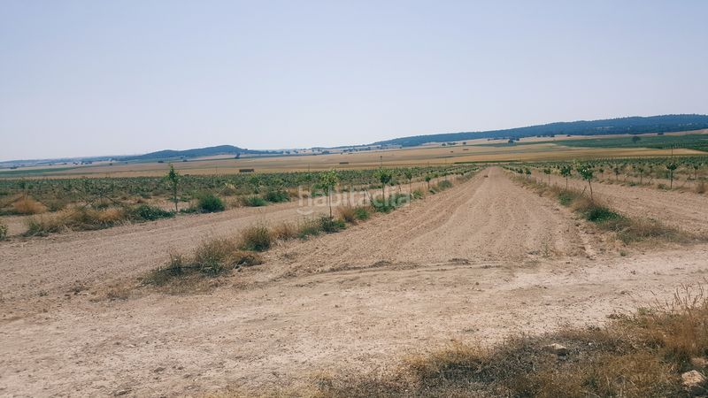 Foto b755279c-5810-4f60-9d73-57a8c32ad1df. Finca rústica a Chinchilla de Monte - Aragón