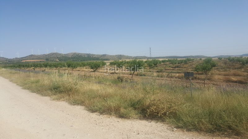 Foto b910f9bf-8120-4eda-8c3a-ce1cb6bd4d0c. Finca rústica a Chinchilla de Monte - Aragón