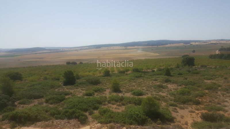 Foto bc55ae5b-1223-45ab-a567-b2d1fe6d204f. Finca rústica a Chinchilla de Monte - Aragón