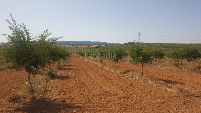 Foto c00a2d14-0ee2-4f3f-b846-1644bed6160e. Finca rústica a Chinchilla de Monte - Aragón