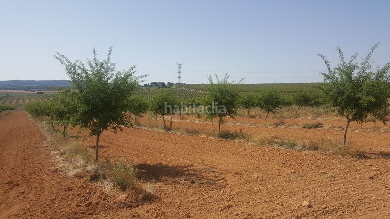 Foto c771ada3-147b-4c75-b2a7-e63af3ab7251. Finca rústica a Chinchilla de Monte - Aragón