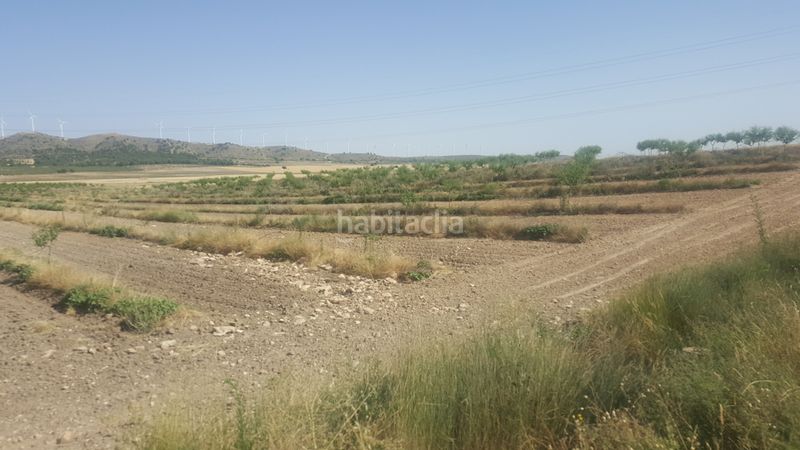 Foto cb27c5ee-fc2d-492f-b756-fdab58a6eff1. Finca rústica a Chinchilla de Monte - Aragón