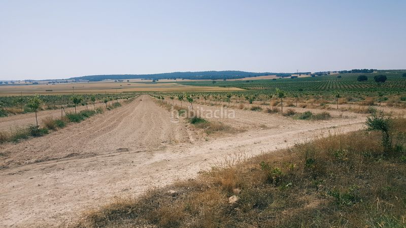 Foto d1474c85-609f-4499-b5b3-1b384d77f0b1. Finca rústica a Chinchilla de Monte - Aragón