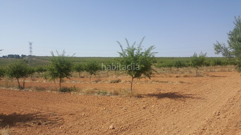 Foto e9dc4d40-6348-4931-b9ac-e1ffa4bb1f2c. Finca rústica a Chinchilla de Monte - Aragón