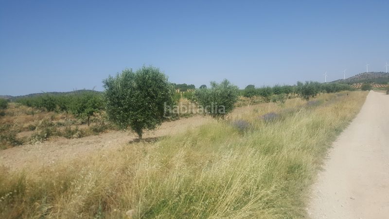 Foto fecc597d-9bd5-48f8-ad51-695aba0a6b1c. Finca rústica a Chinchilla de Monte - Aragón