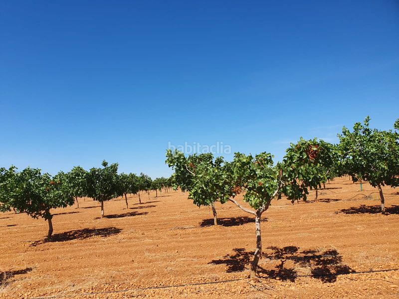 Foto a5f100d9-4d13-4e75-95fd-53273df49e81. Finca rústica en La Reconquista Toledo